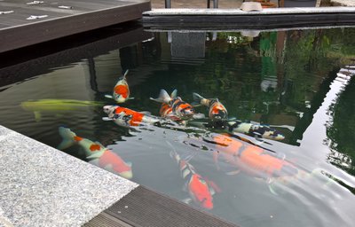 WP_20160604_08_59_07_Pro.jpg