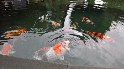 WP_20160604_08_59_19_Pro.jpg