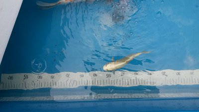 20160604_170637_resized.jpg