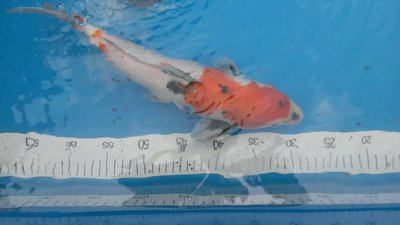 20160604_170719_resized.jpg