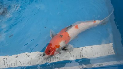 20160604_170723_resized.jpg