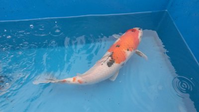 20160604_170739_resized.jpg