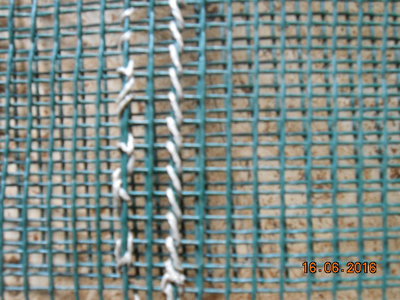 DSCN0337.JPG