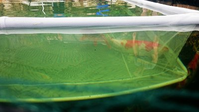 Gehege 2 x 2 Seitenansicht.JPG