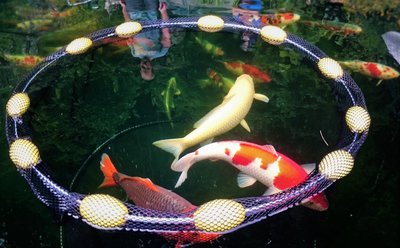 rund 97cm schwarz.JPG