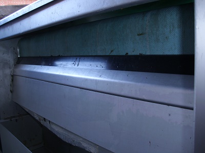 DSCI0919.jpg