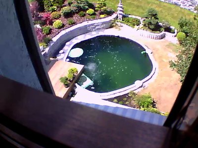 IMG_5289.JPG