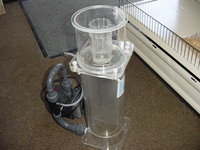 DSC05423.JPG