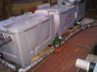 IMG00301-20110321-1848.jpg