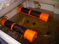 IMG00299-20110321-1848.jpg