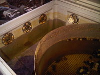 IMG00298-20110321-1847.jpg