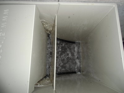 DSCI0004.JPG