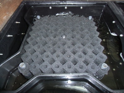 DSCI0009.JPG