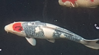 20160814_193008.jpg