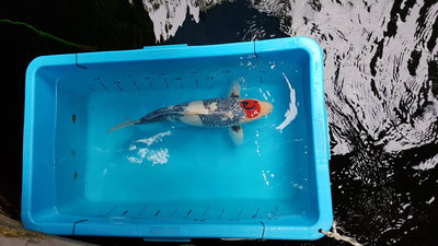 20160807_095126.jpg