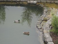IMG_0015.jpg