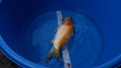 20160902_Freitag 125635  klein.jpg