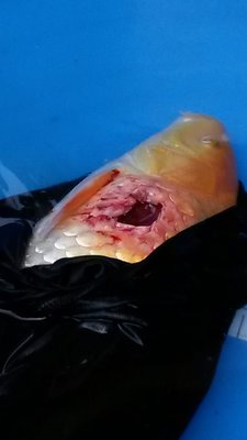 20160902_Freitag 130155   klein.jpg