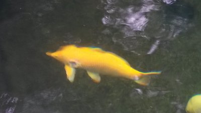 2016 09 05_1.jpg