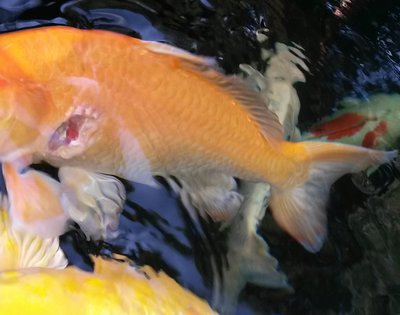 2016 09 07_2.jpg