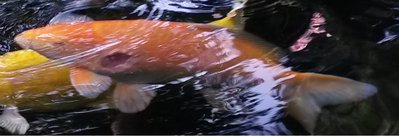 2016 09 10_1.jpg