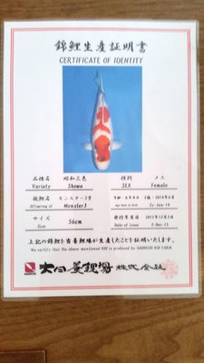 Zertifikat Dainichi Nisai Showa.jpg