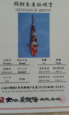 IMG-20160915-WA0001_1473966999970.jpg