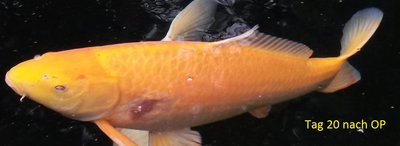 2016 09 21.jpg