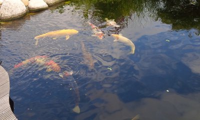 IMG_20160704_191732neu.jpg