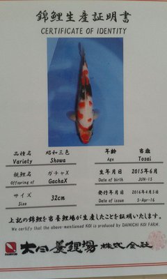 IMG-20160915-WA0000_1473967000100.jpg