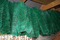 DSC00904.JPG
