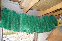 DSC00907.JPG