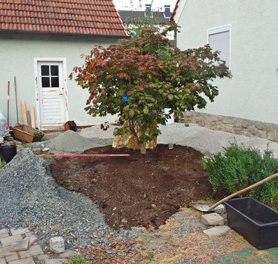 P1018497.JPG