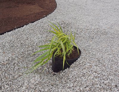 P1018530.JPG