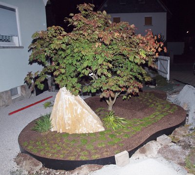 P1018551.JPG