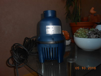 DSCN0468.JPG