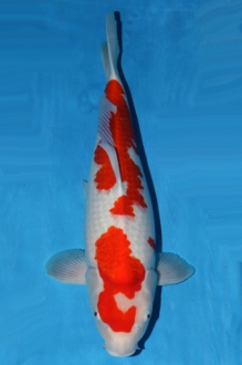 small_1511068_02.jpg