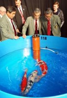 DSCF0153.JPG