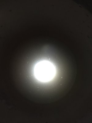 IMG_3239.JPG