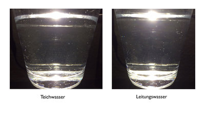 wasser.jpg