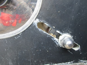 IMG_1286.jpg