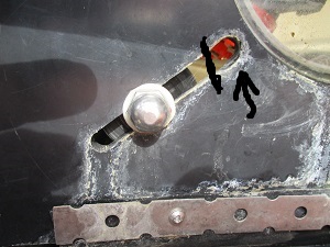 IMG_1229.jpg