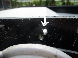 IMG_1225.jpg