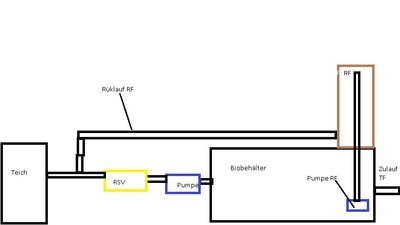 Bio 1.jpg