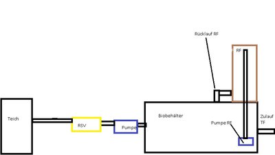 Bio 2.jpg