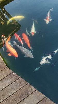 IMG_20170320_163837_1-1380x2448.jpg