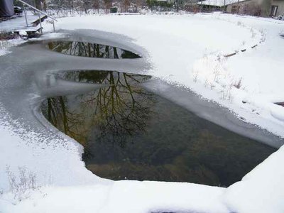 k-DSCF6244.JPG