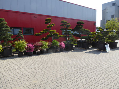P1070695.jpg