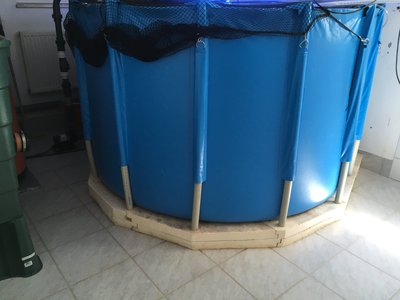 009_Datei 18.06.17, 15 13 33.jpeg