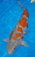 DSC_6748b.jpg